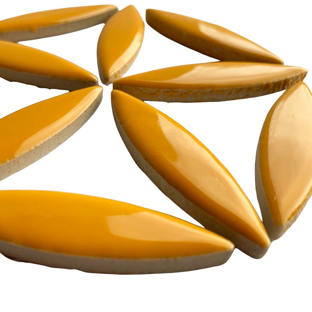 Mosaiksteinen Ellipse  Curry