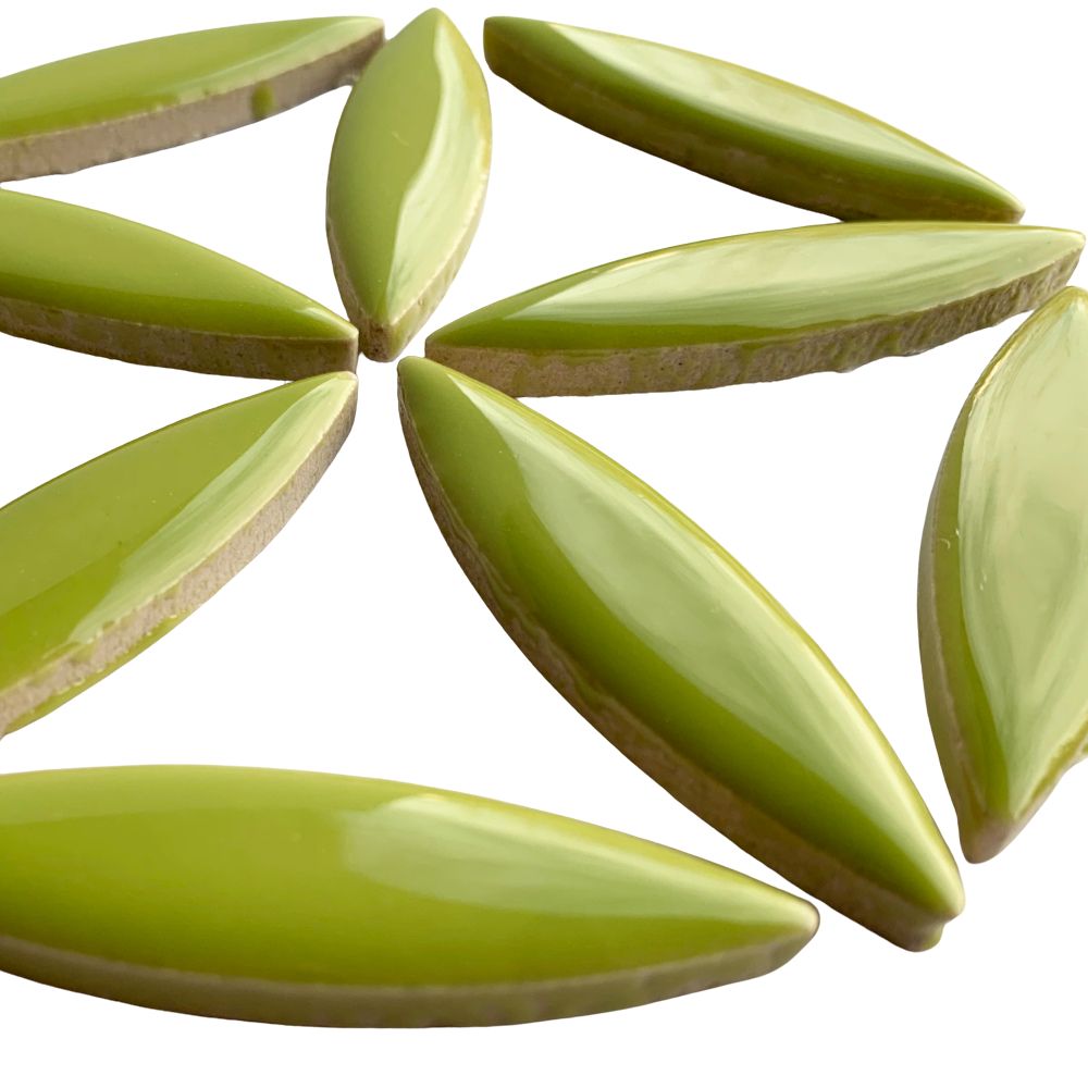 Mosaiksteinen Ellipse  Kiwi