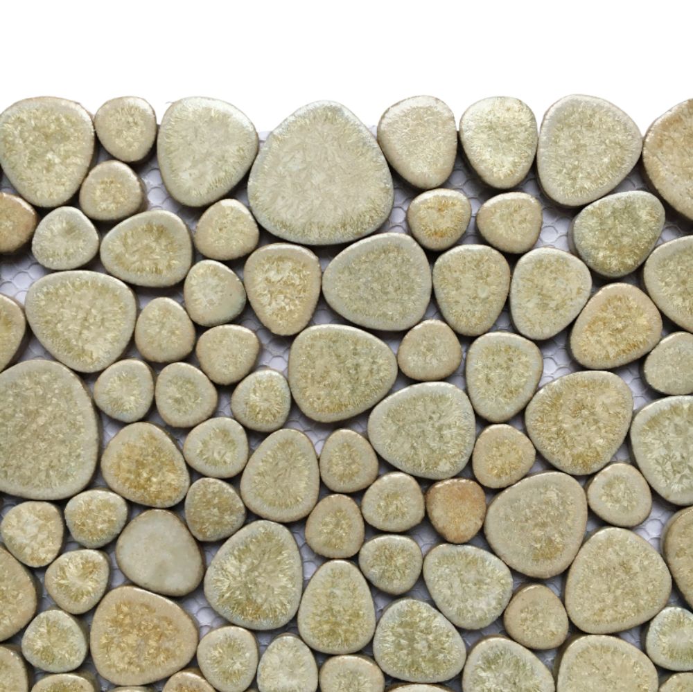 Pebbles  Cockleshell