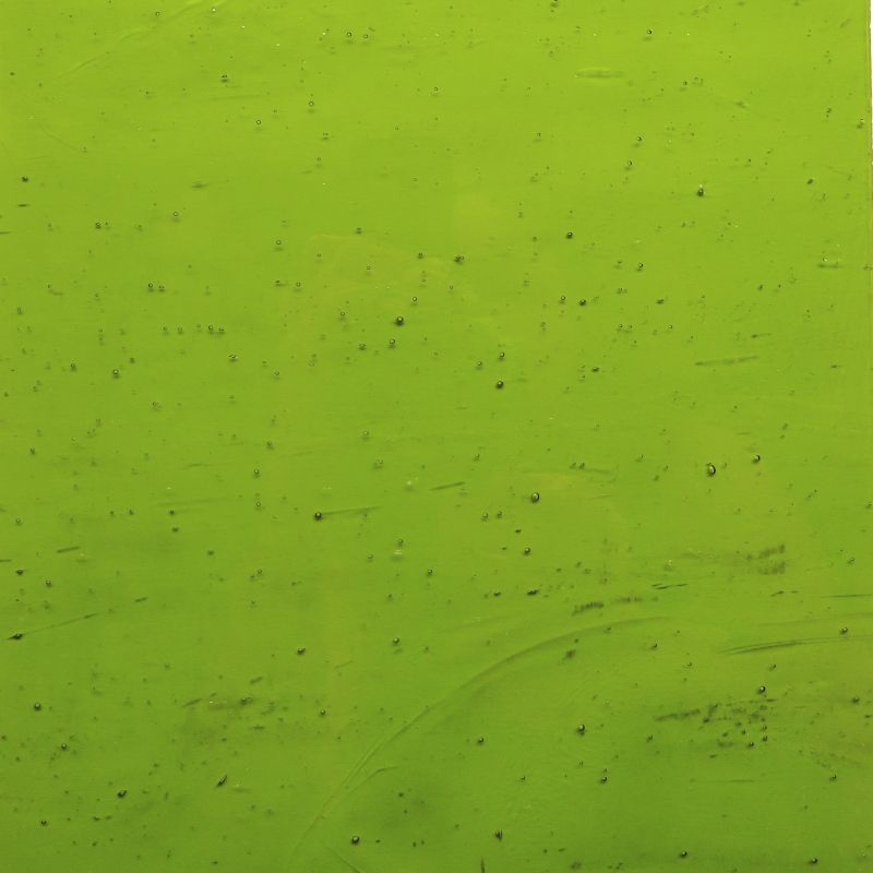 Glasplatte Olive