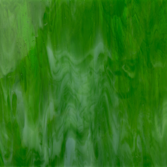 Glasplatte Farn Zart
