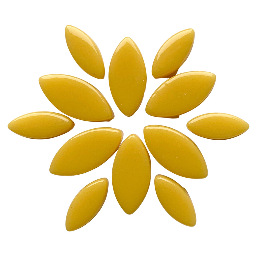 Petals Goldenrod
