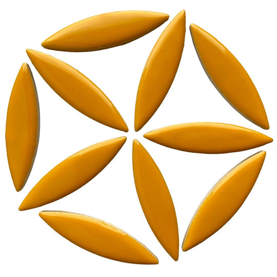 Mosaiksteinen Ellipse  Curry