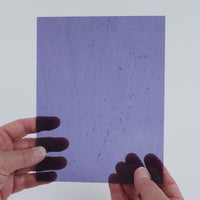 Video of the Pale Light Purple glass plate in transparent purple, 15x19cm, held up and tilted to show its pattern and transparency