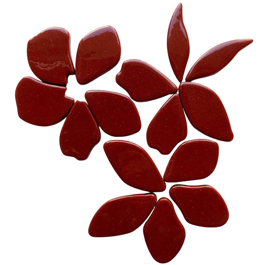 Gefallene Blütenblätter Bordeaux