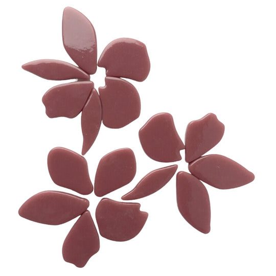 Gefallene Blütenblätter  Himbeere