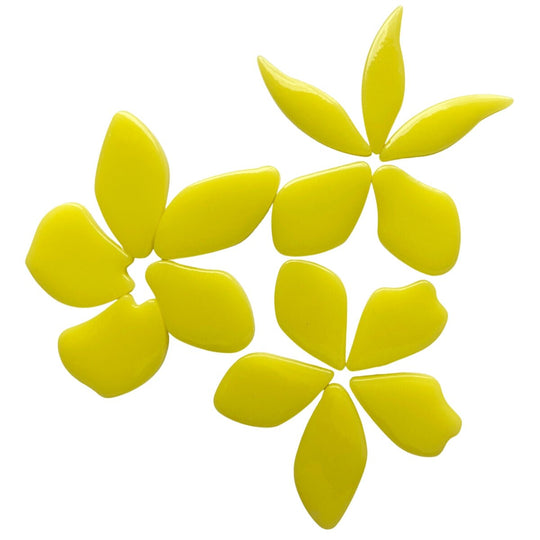 Gefallene Blütenblätter Gelbsäure