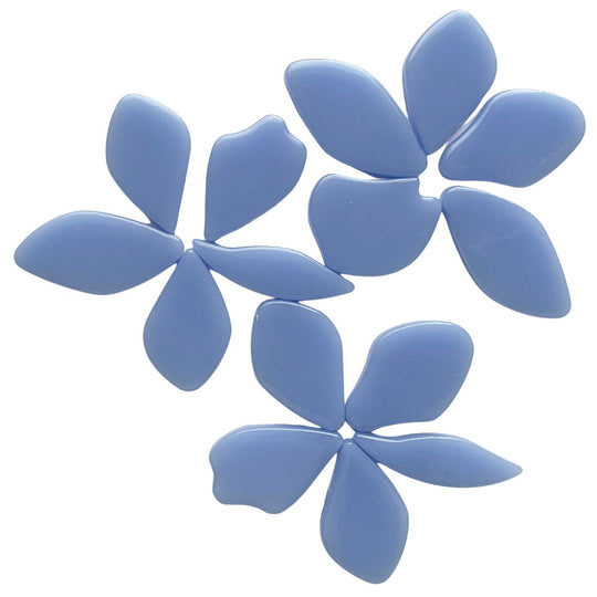 Gefallene Blütenblätter  Hellblau