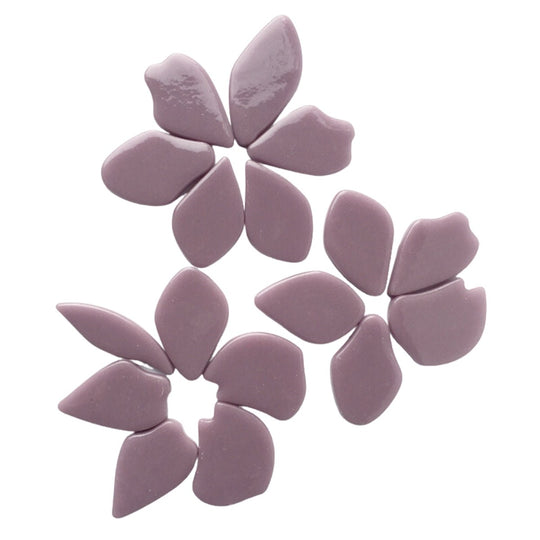 Gefallene Blütenblätter Flieder