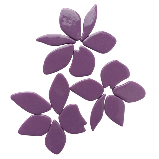 Gefallene Blütenblätter  Magenta