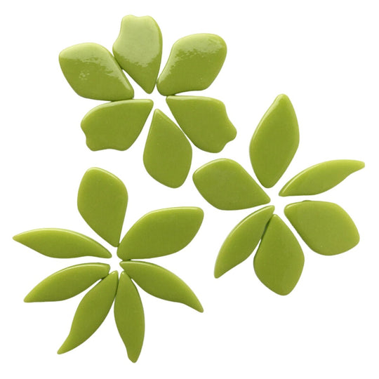 Gefallene Blütenblätter Neu Grün