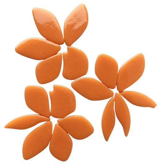 Gefallene Blütenblätter Opal Orange