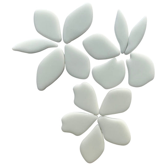Gefallene Blütenblätter  Opalweiß