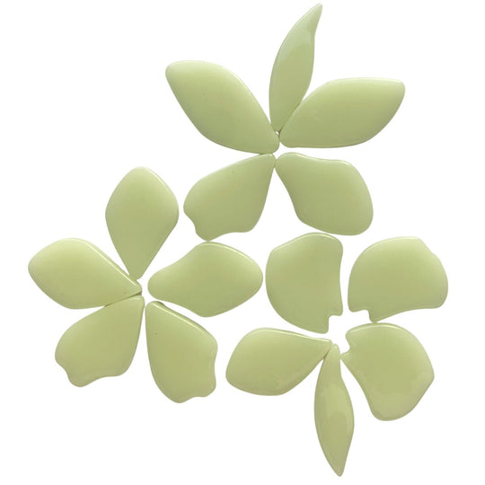 Gefallene Blütenblätter  Pollen