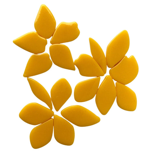 Gefallene Blütenblätter Warmes Gelb