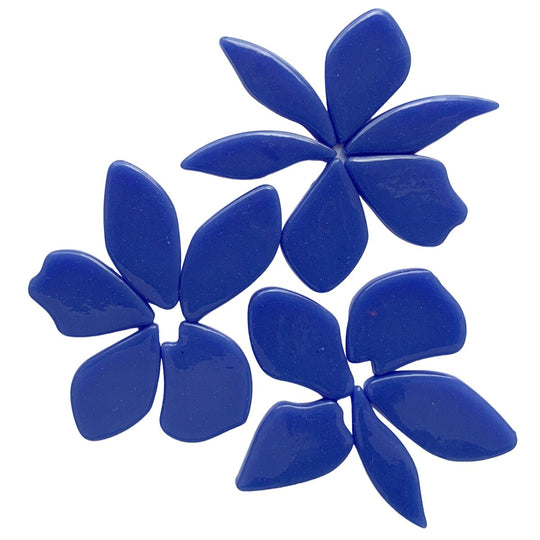 Gefallene Blütenblätter  Warmes Blau