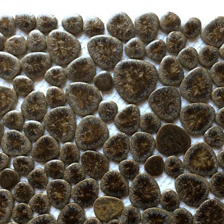 Pebbles  Dessert Bark