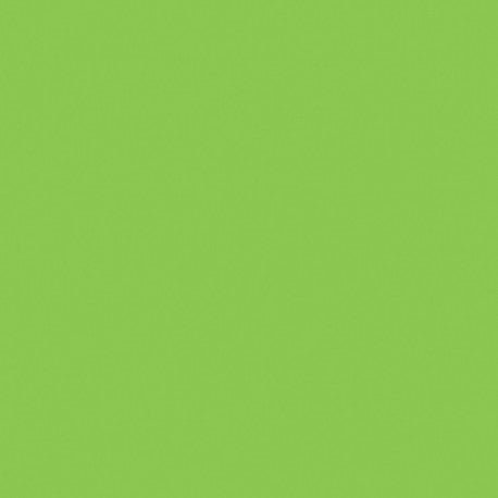 Mosa-17900 Macaw Vert 15cm