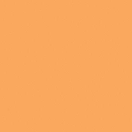 Mosa-18940 Abricot 15cm